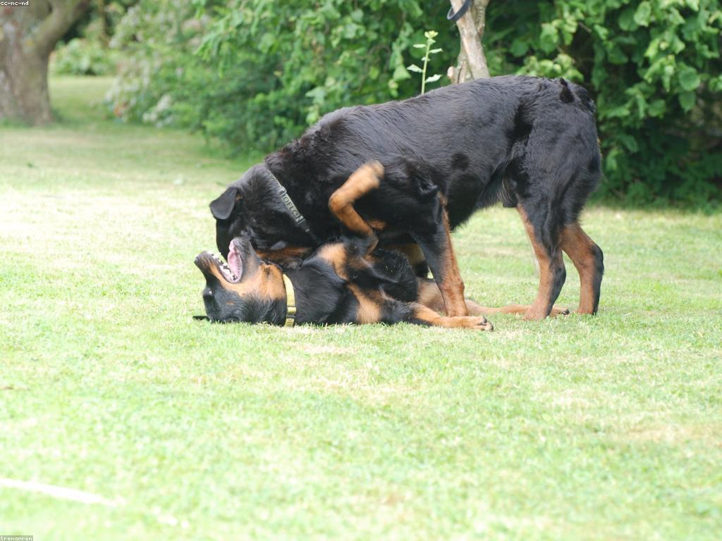 យុទ្ធសាស្ត្រលេង៖ វិធីសាស្ត្រដើម្បីជោគជ័យក្នុងការលេង